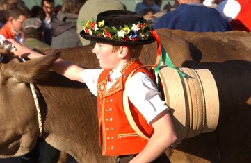 Viehschau_Junge